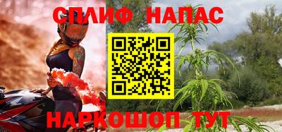 кокс Кингисепп