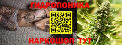 кокс Кингисепп