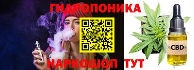 кокс Кингисепп