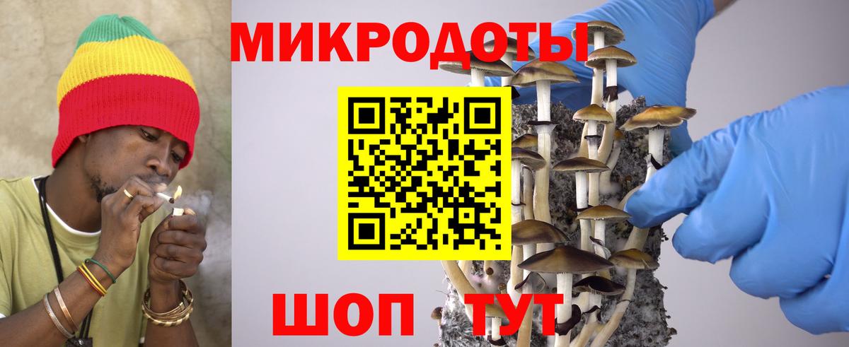Галлюциногенные грибы мицелий Сухой Лог