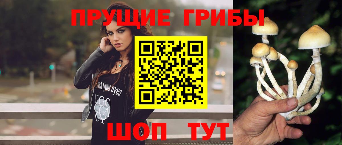 Галлюциногенные грибы Cubensis  Вход с VPN  Сухой Лог 
